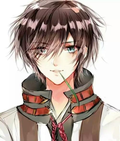 喻宁傅钦小说叫什么封面