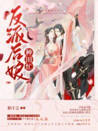 顾绍乔连连小说封面