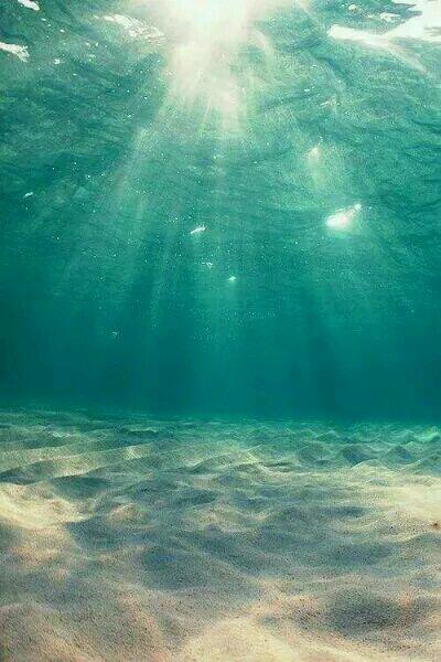 重回身死前，她转身抱紧了死对头大腿封面