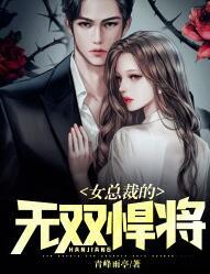 女总裁的无双悍将叶锋唐婉儿封面